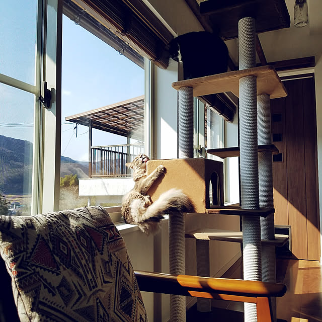 nekogurumaさんの実例写真