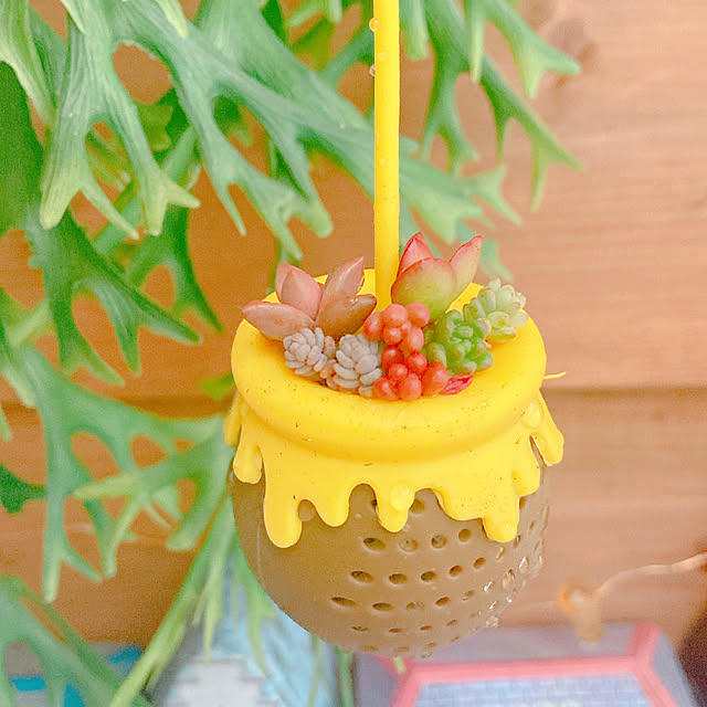 Hanakaさんの部屋