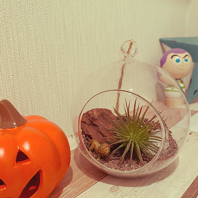 m_k_Rさんの実例写真