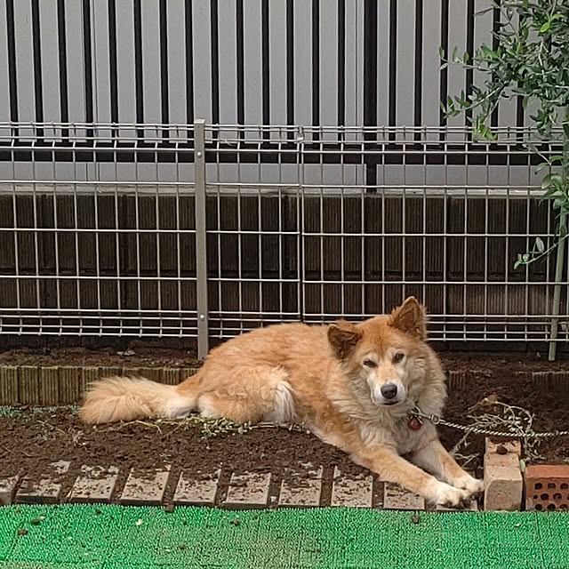 Ri-さんの実例写真