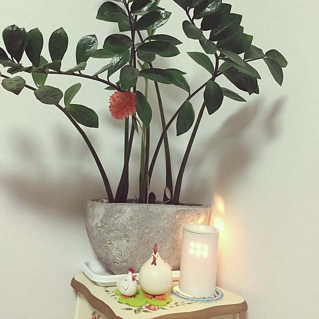 壁/天井/酉年なので飾ってみました。/観葉植物/雑貨/照明のインテリア実例 - 2017-01-29 22:15:06