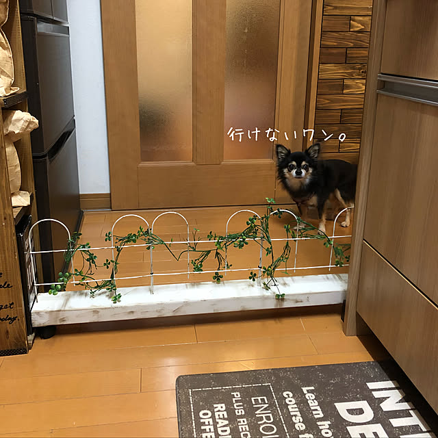 yokochinさんの実例写真