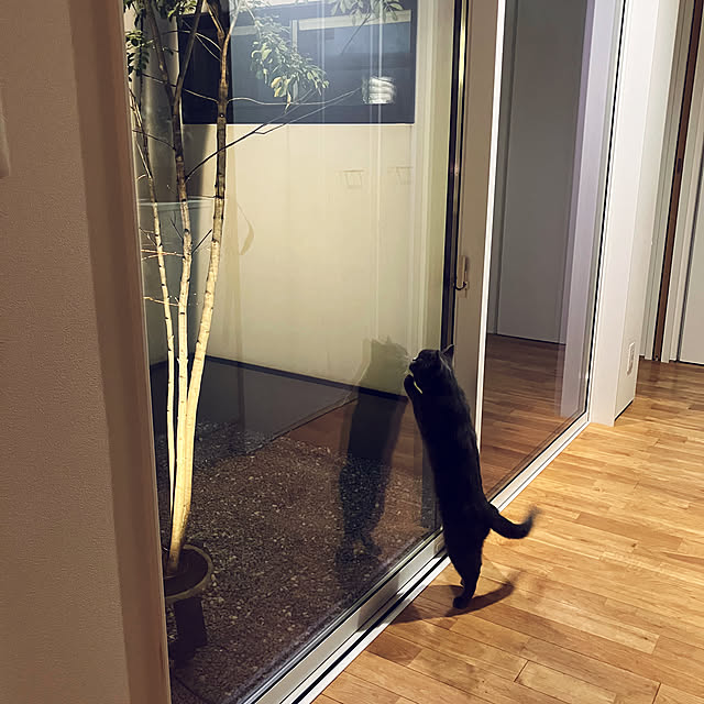 KOHAREさんの部屋