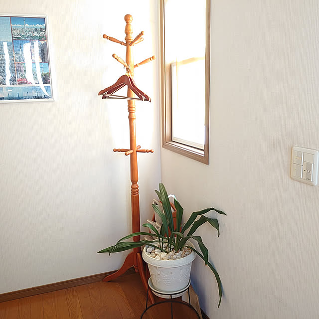 merirynさんの実例写真