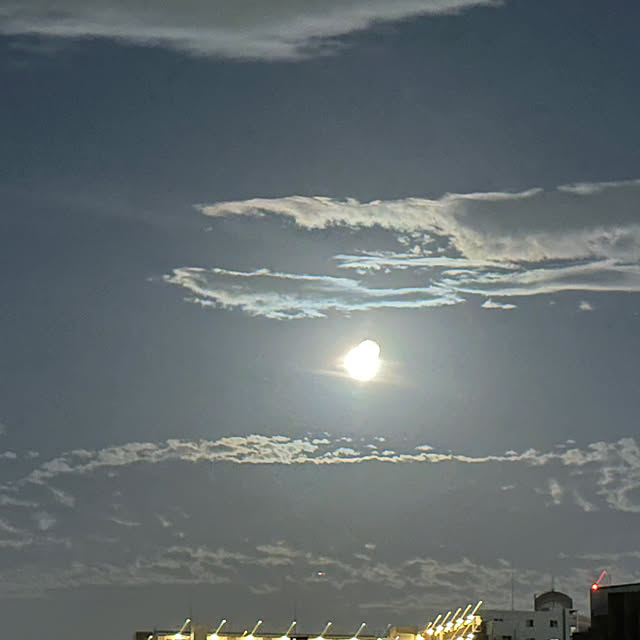 lemonadeさんの部屋