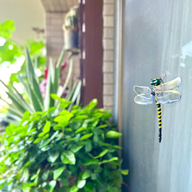 pooさんの部屋