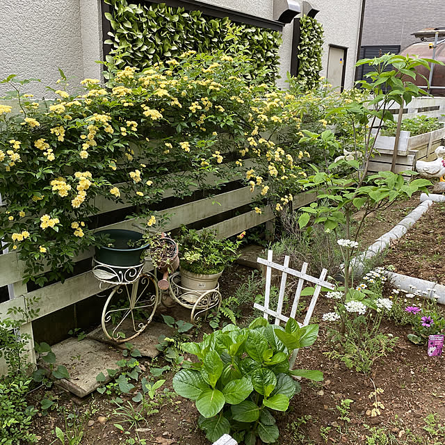 実例写真