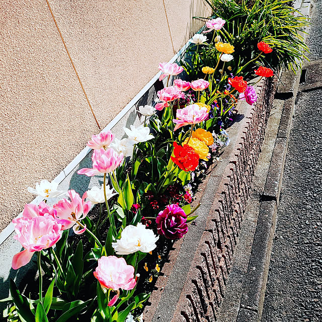 Pikakeさんの実例写真