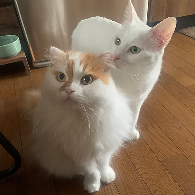keiさんの実例写真