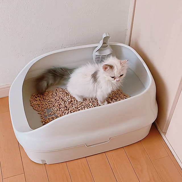 milkcocoaさんの実例写真