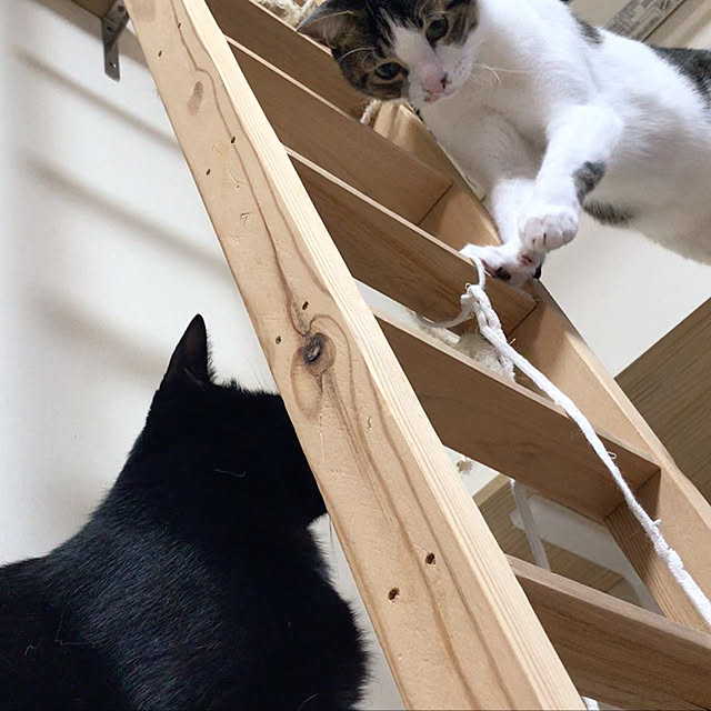 take.bon326さんの実例写真