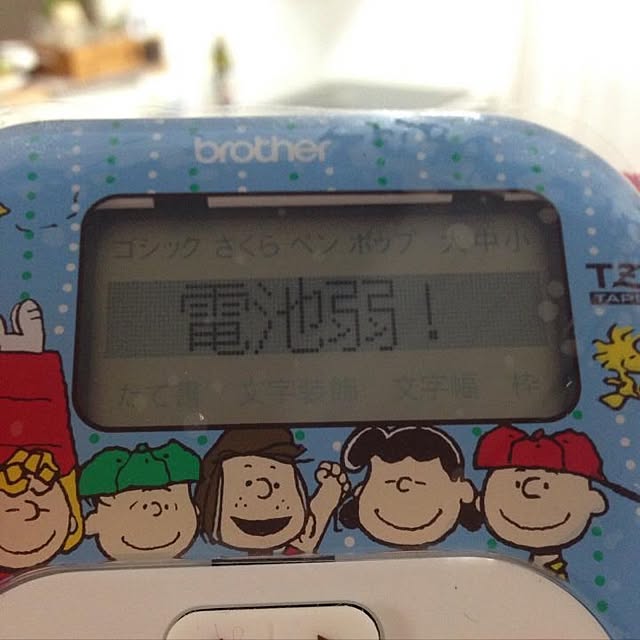 Erinさんの実例写真