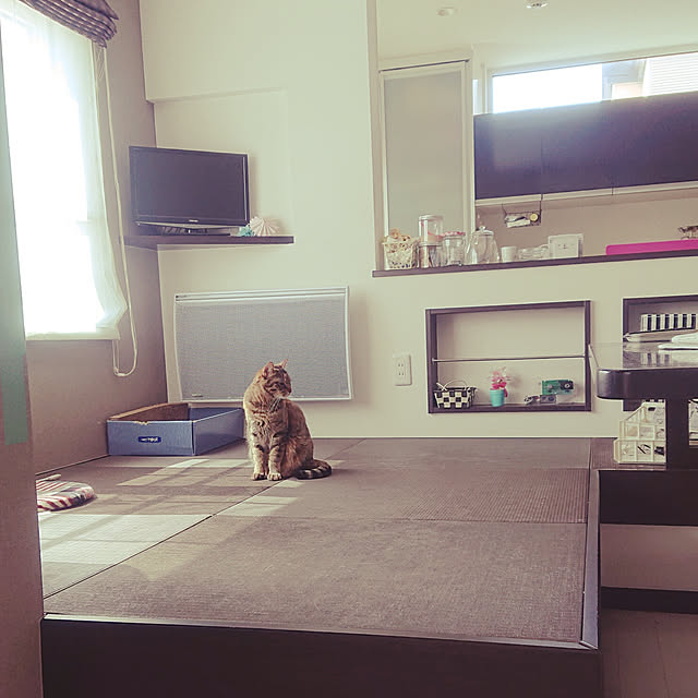 nrさんの実例写真
