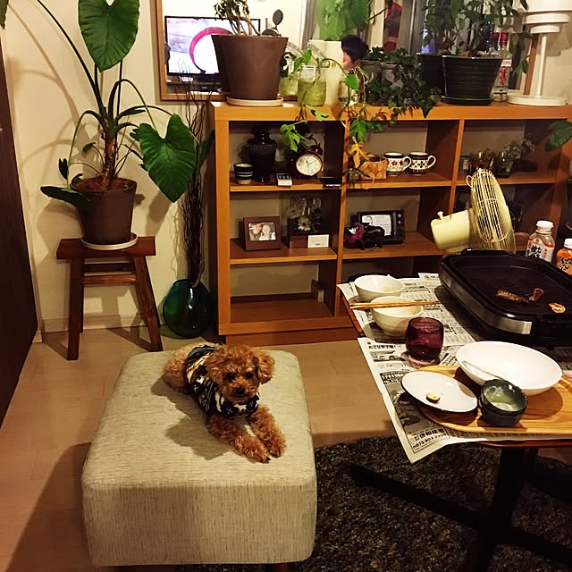 yuchiさんの実例写真
