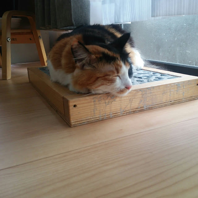 kiyohima229さんの実例写真