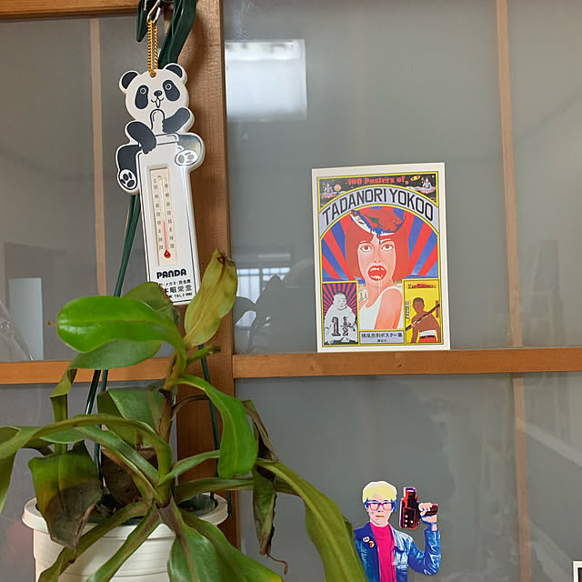 helmet_obake_chanさんの実例写真