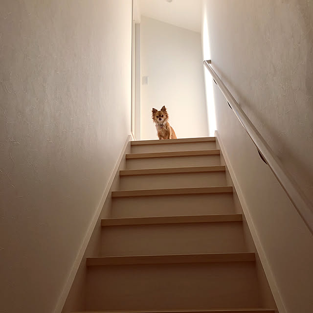 comoさんの実例写真