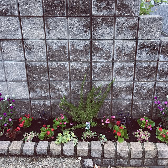 sanw2225719さんの実例写真