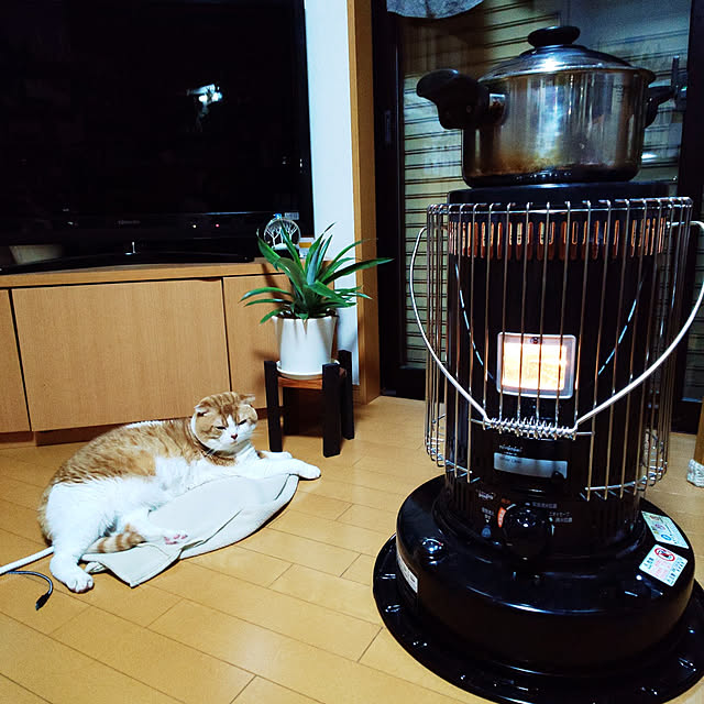 0617さんの実例写真