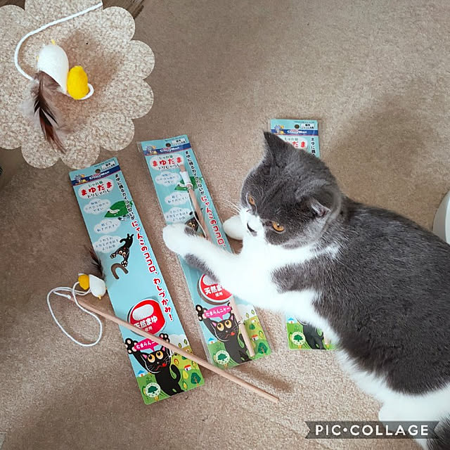 KEIKOさんの実例写真