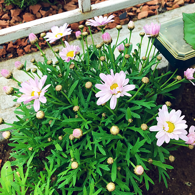 tomoさんの部屋