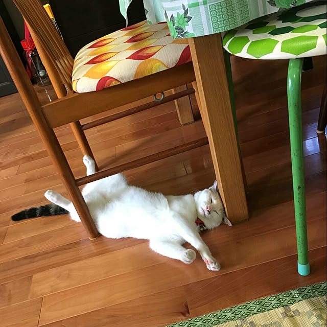 MIYAMIYAさんの実例写真