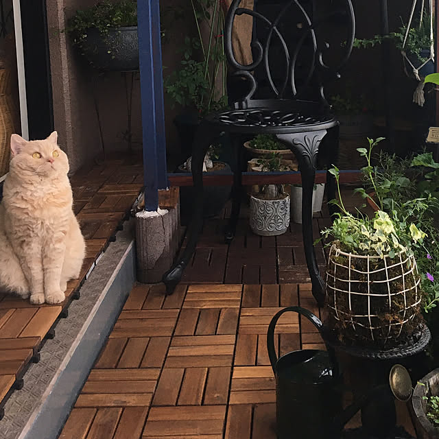 naokoさんの部屋
