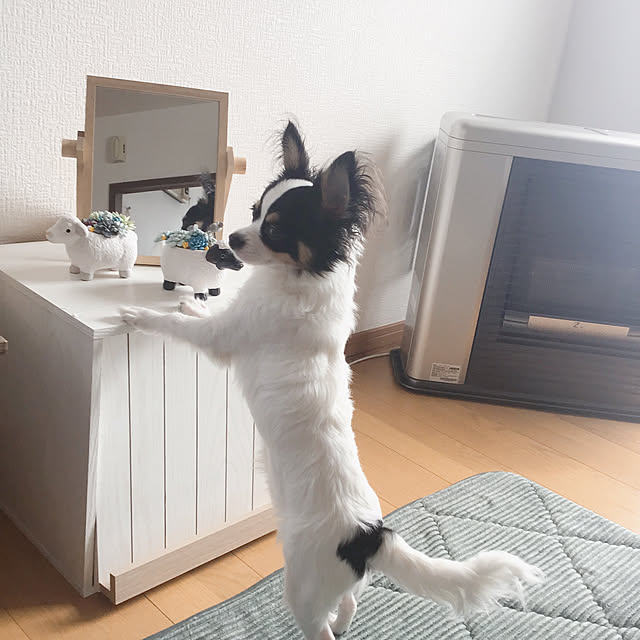 sakuさんの実例写真