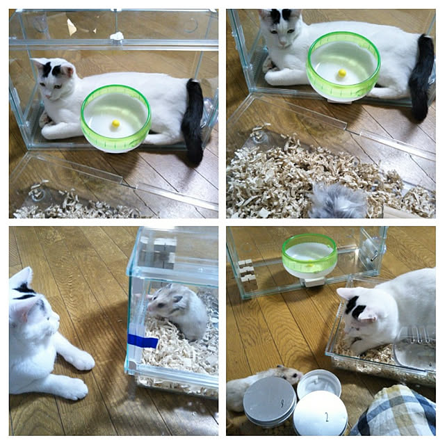 yukieさんの実例写真