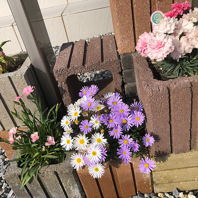 swmrさんの部屋