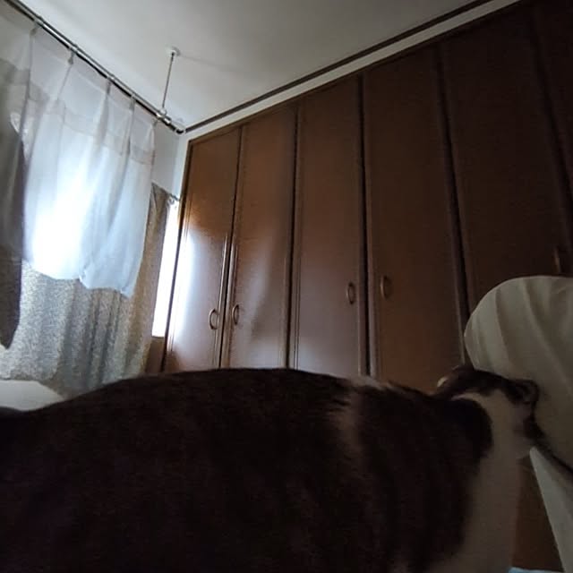 mori_6_12さんの部屋