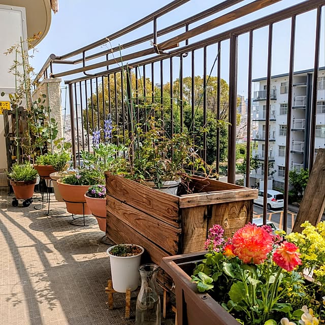 mi-saさんの実例写真