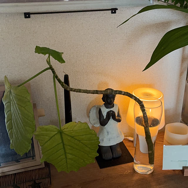 cagosukiさんの実例写真