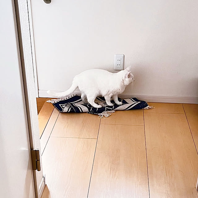 Miyu_さんの部屋