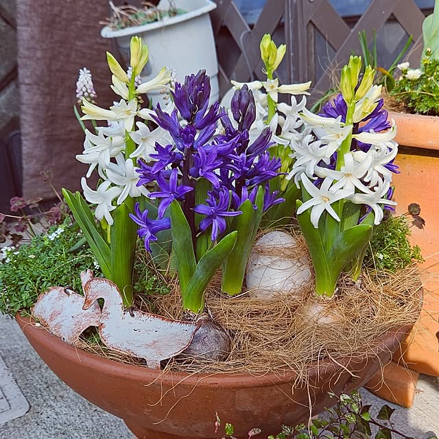 mocomocoさんの部屋