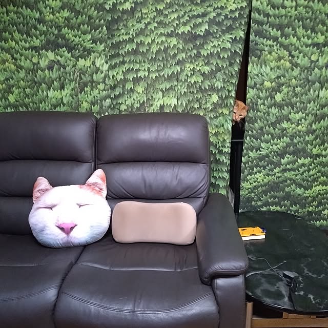 NOAHさんの部屋