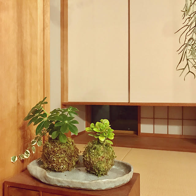 yukariさんの実例写真