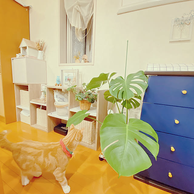 moolさんの部屋