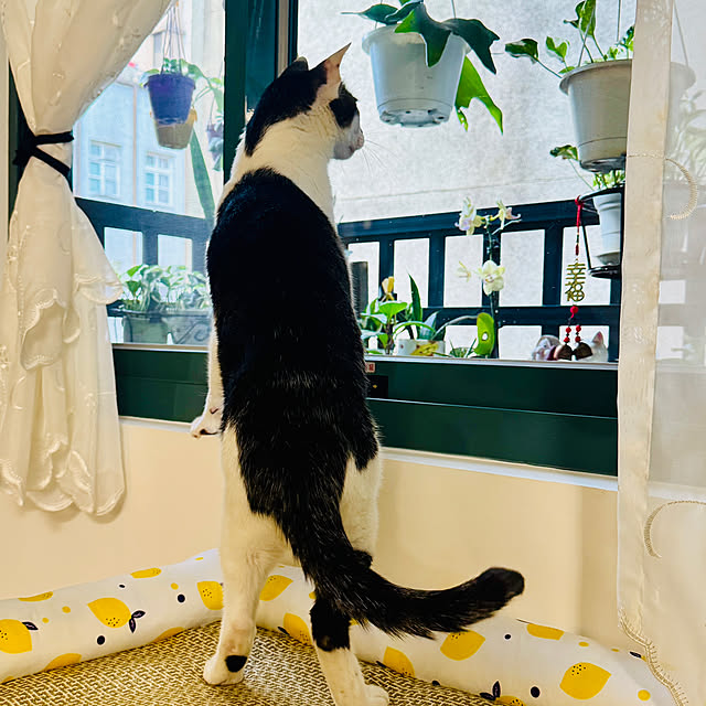 pcu110さんの部屋