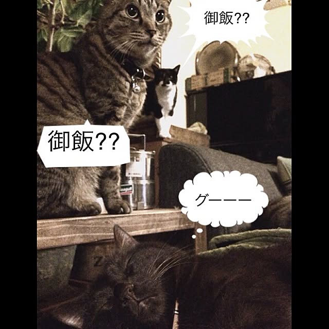 jnkaiさんの実例写真