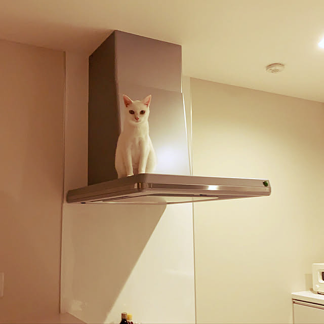 miiiiさんの実例写真