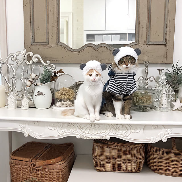 yuchiさんの実例写真