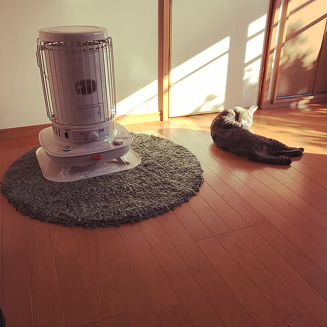 mikan161さんの実例写真