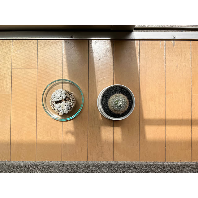 ht6030さんの実例写真