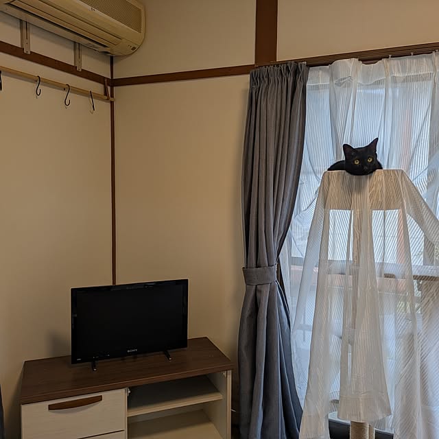 asaさんの実例写真