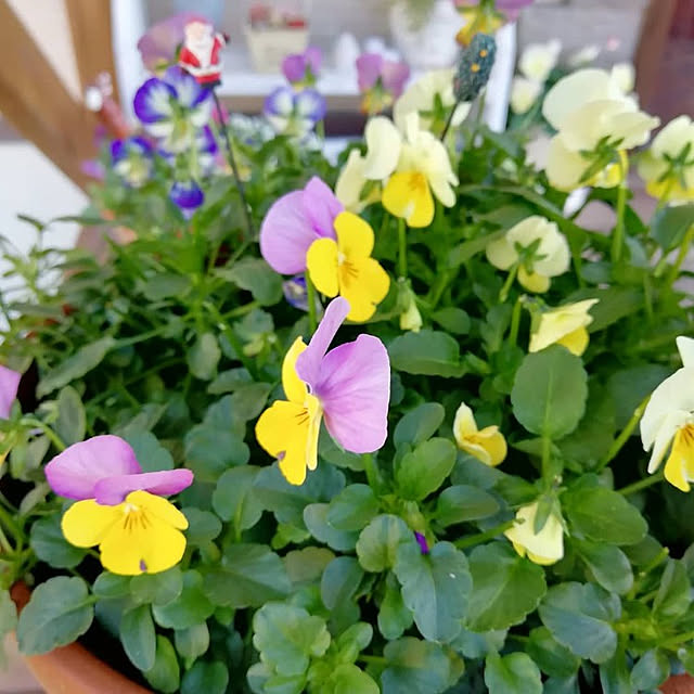 ai.happyplaceさんの実例写真