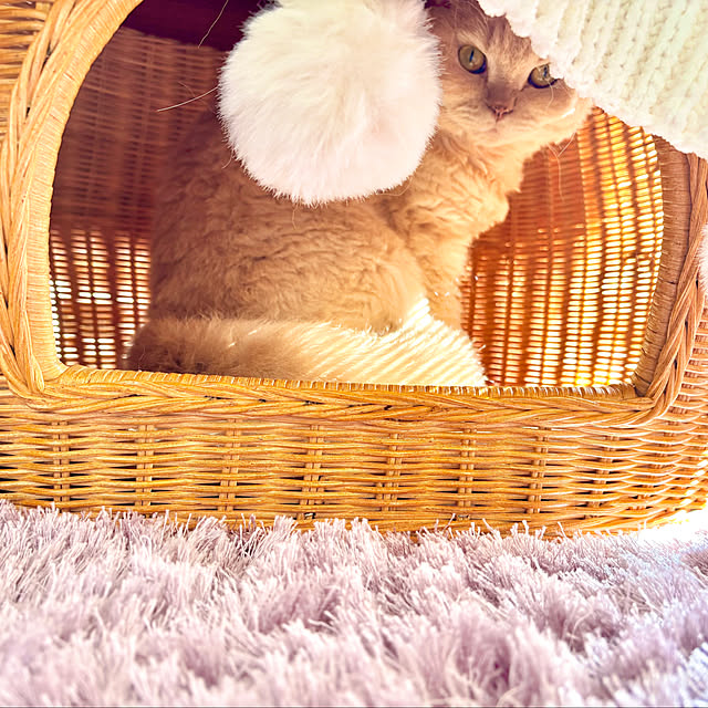 naokoさんの部屋