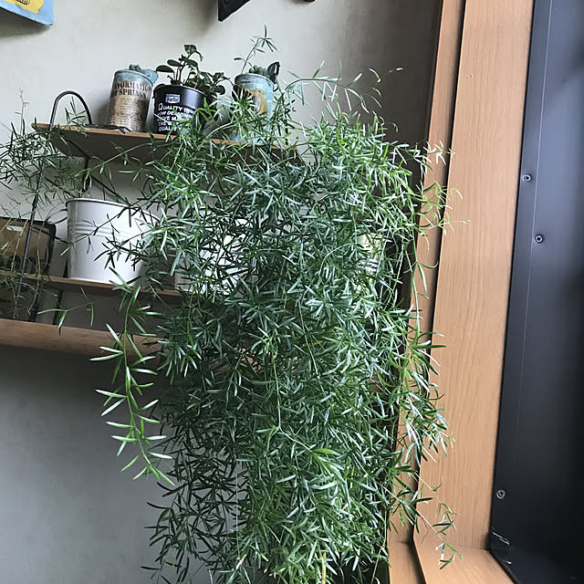 RiNaさんの実例写真