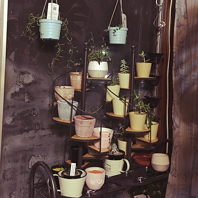 棚/観葉植物のインテリア実例 - 2017-11-30 01:55:14