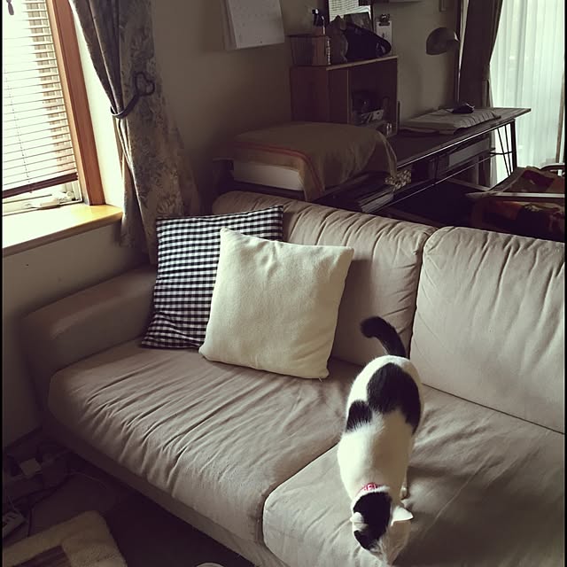 chiさんの実例写真